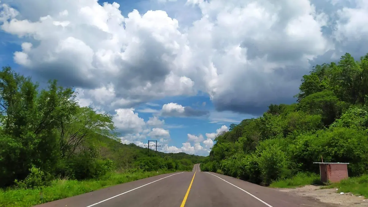 paisaje camino a alamos